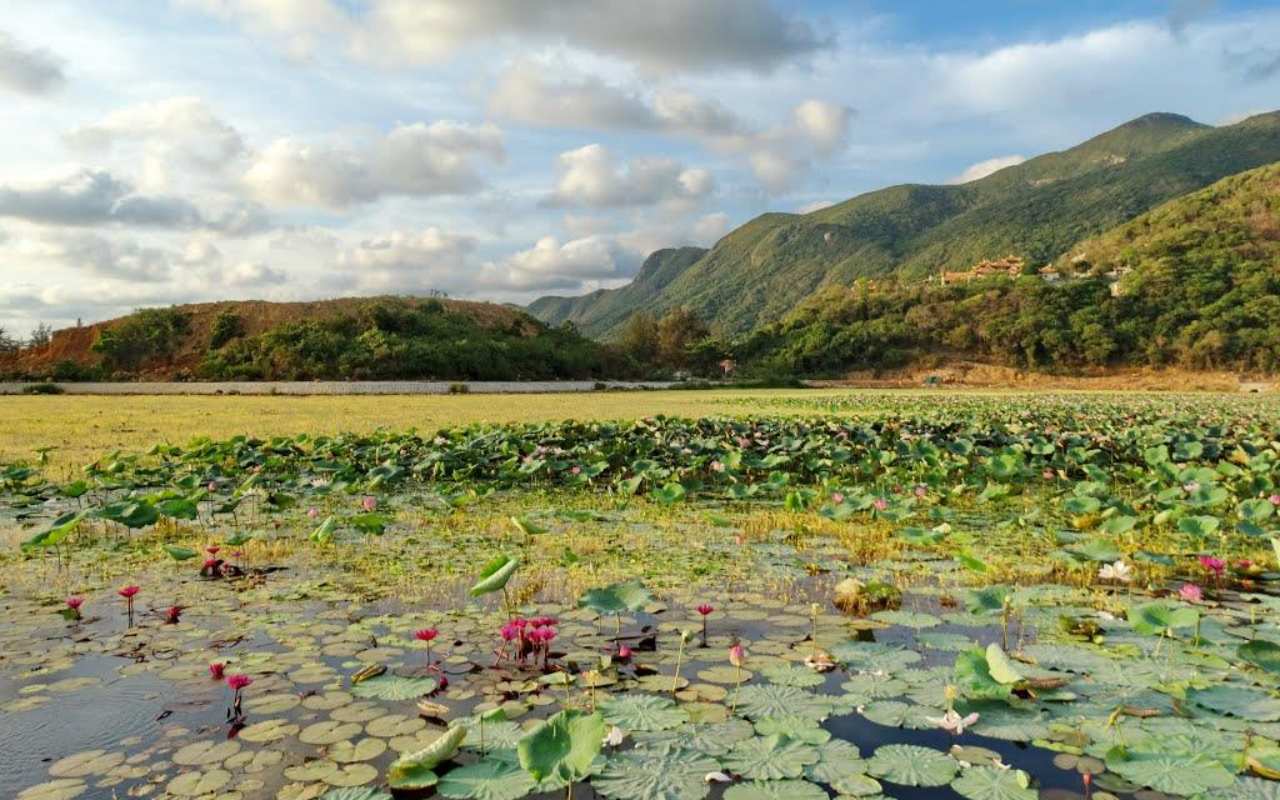 Vườn Quốc gia Côn Đảo - Thiên đường sinh vật tự nhiên (2023)